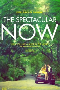 Захватывающее время (2013)