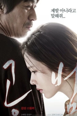 Сообщник (2013)