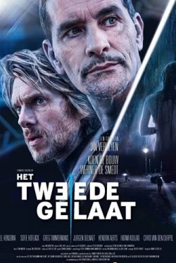 Двойное лицо (2017)