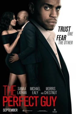 Идеальный парень (2015)