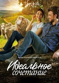 Идеальное сочетание / A Perfect Pairing (2022)