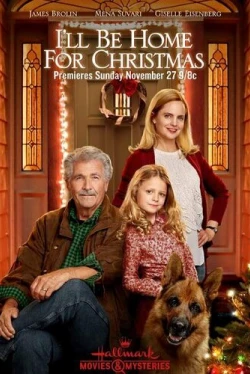Я буду дома к Рождеству (2016)