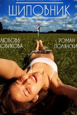 Шиповник (2011)