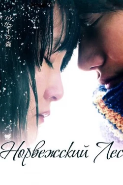 Норвежский лес (2010)