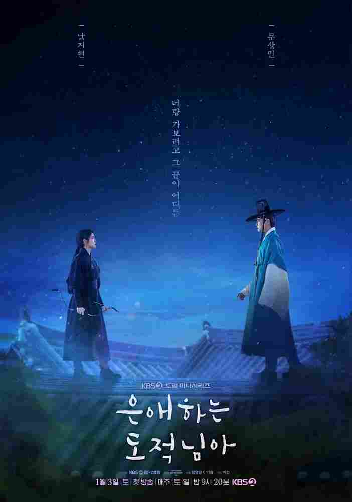 Моя любимая воровка 2026