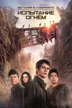 Бегущий в лабиринте: Испытание огнём (2015)