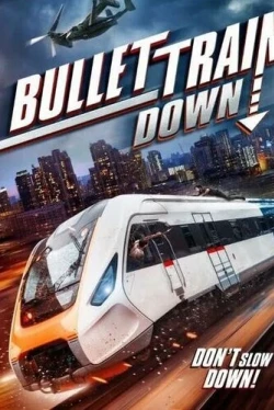 Крушение скоростного поезда (2022)