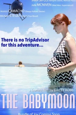 Медовый месяц перед родами (2017)