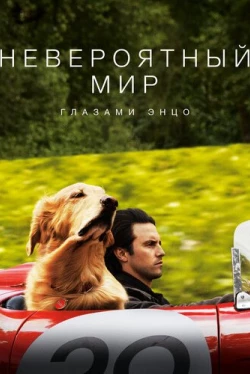 Невероятный мир глазами Энцо (2019)