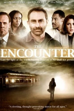 Неожиданная встреча (2010)