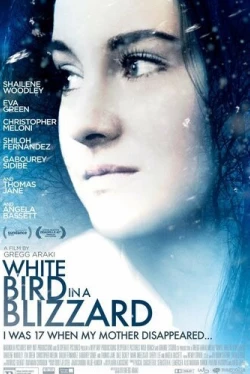 Белая птица в метели (2014)