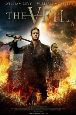 Вуаль (2017)